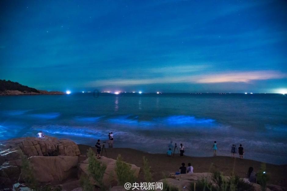 小猫钓鱼游戏龙王版有船