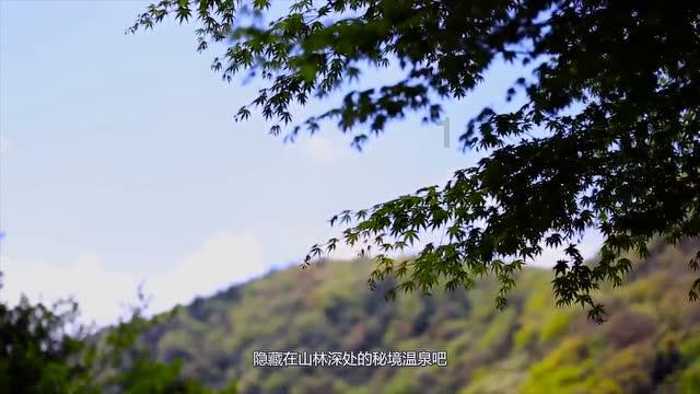你有泽卡 我有古塔 上港终于有条价值上千万大鱼了