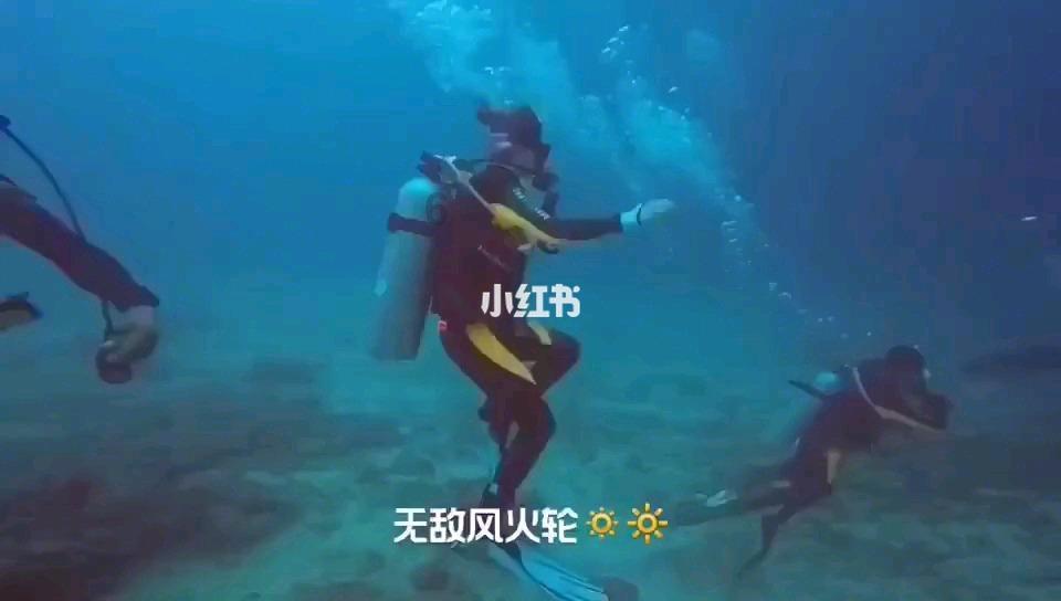 小猫钓鱼正版下载中文版