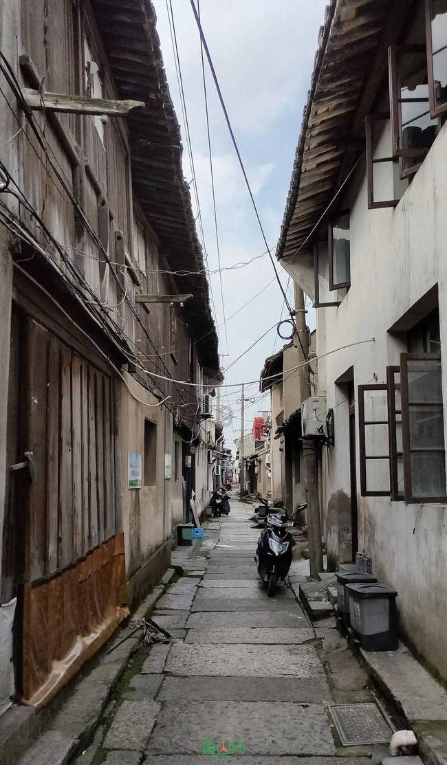 路飞大冒险